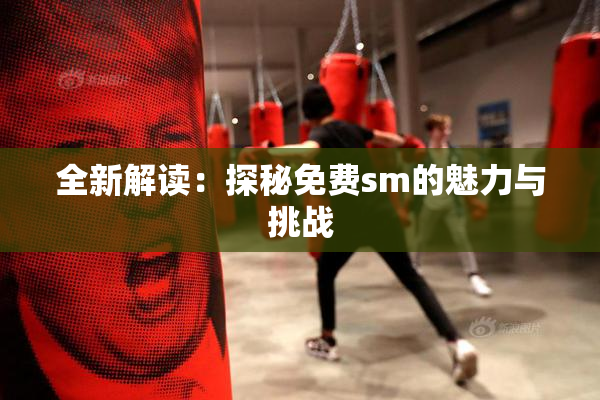 全新解读：探秘免费sm的魅力与挑战