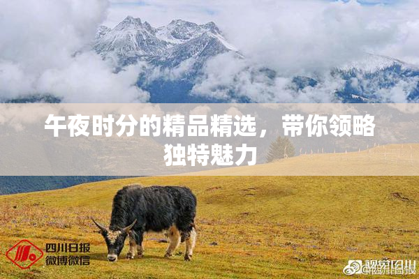 午夜时分的精品精选，带你领略独特魅力