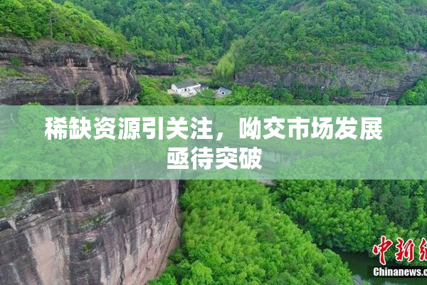 稀缺资源引关注，呦交市场发展亟待突破