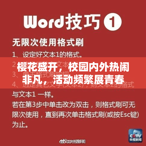樱花盛开，校园内外热闹非凡，活动频繁展青春