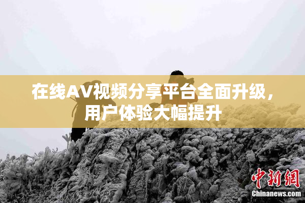在线AV视频分享平台全面升级，用户体验大幅提升