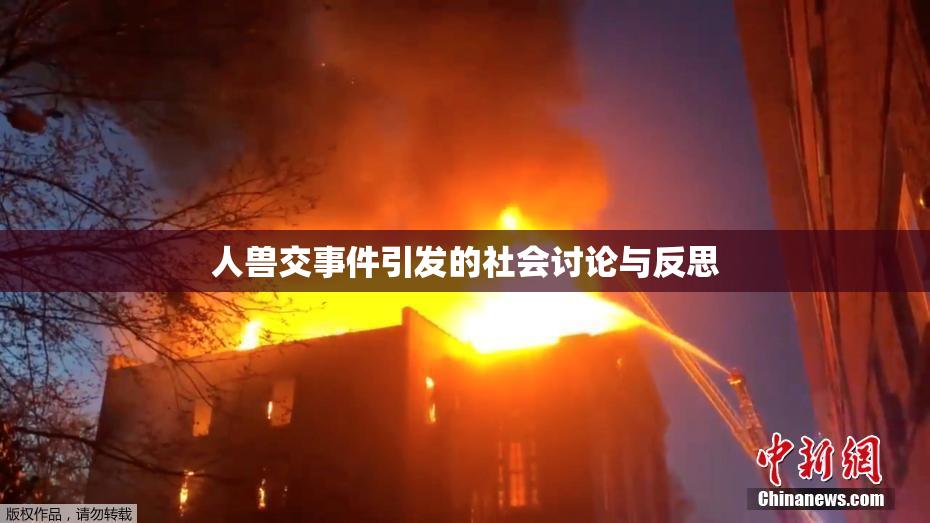人兽交事件引发的社会讨论与反思