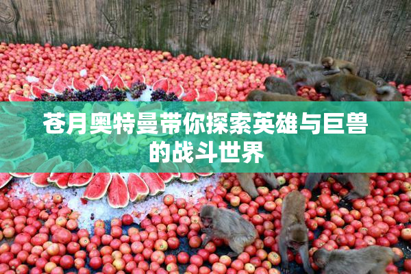 苍月奥特曼带你探索英雄与巨兽的战斗世界