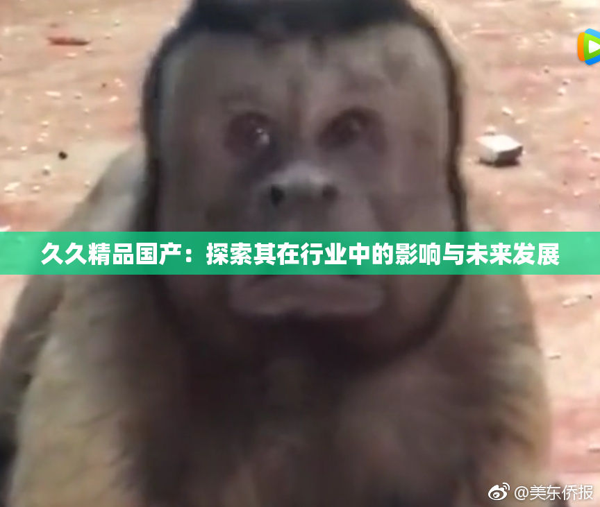 久久精品国产：探索其在行业中的影响与未来发展