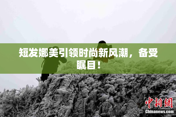 短发娜美引领时尚新风潮，备受瞩目！