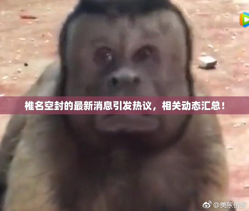 椎名空封的最新消息引发热议，相关动态汇总！