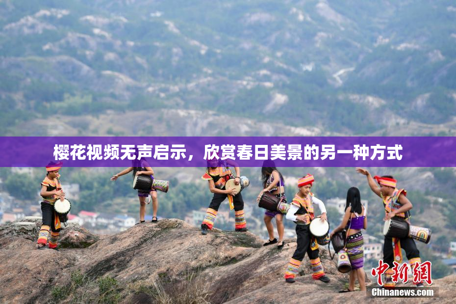 樱花视频无声启示，欣赏春日美景的另一种方式