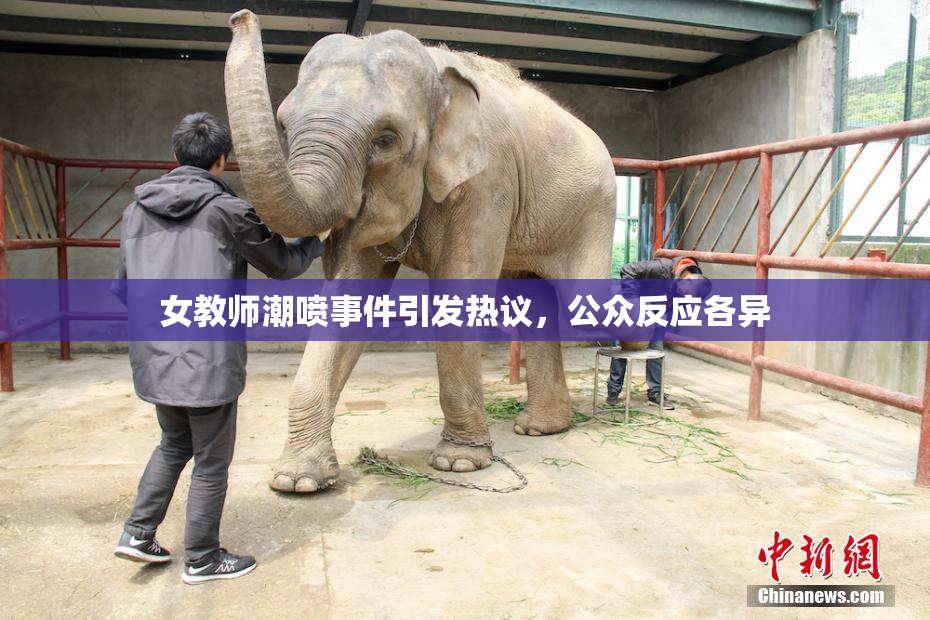 女教师潮喷事件引发热议，公众反应各异