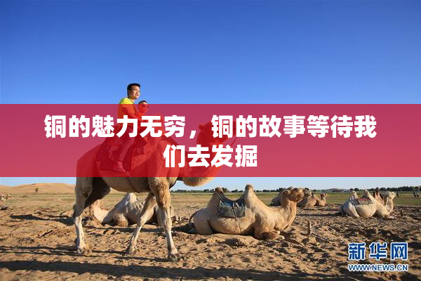 铜的魅力无穷，铜的故事等待我们去发掘