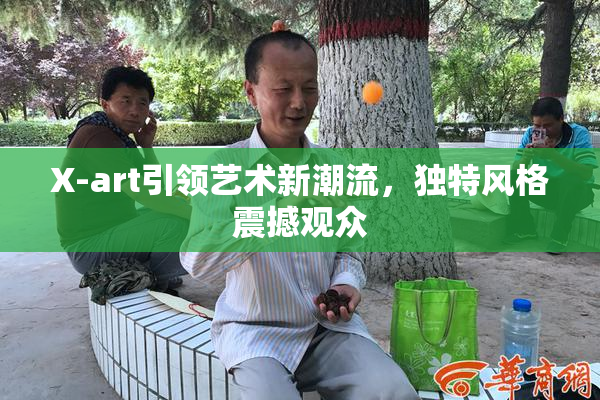 X-art引领艺术新潮流，独特风格震撼观众