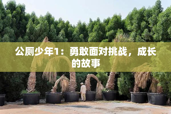 公厕少年1：勇敢面对挑战，成长的故事
