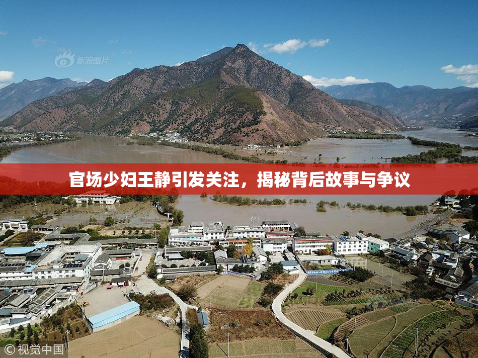 官场少妇王静引发关注，揭秘背后故事与争议
