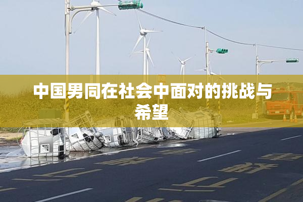 中国男同在社会中面对的挑战与希望