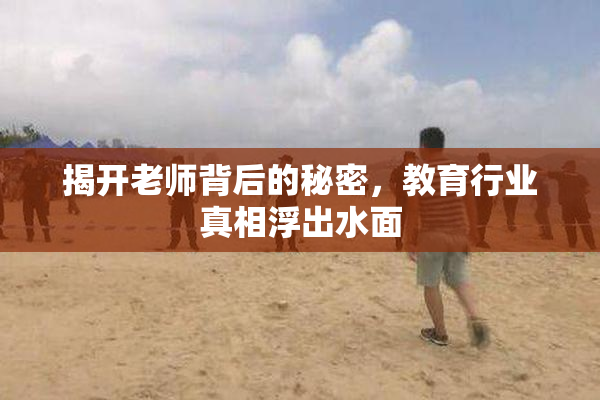揭开老师背后的秘密，教育行业真相浮出水面