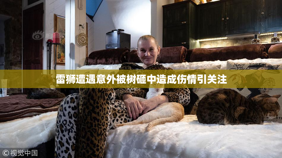 雷狮遭遇意外被树砸中造成伤情引关注