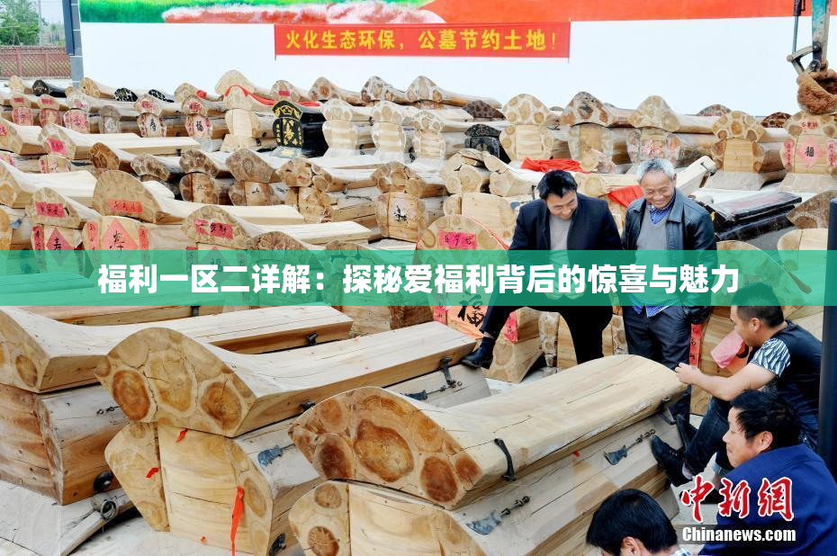 福利一区二详解：探秘爱福利背后的惊喜与魅力