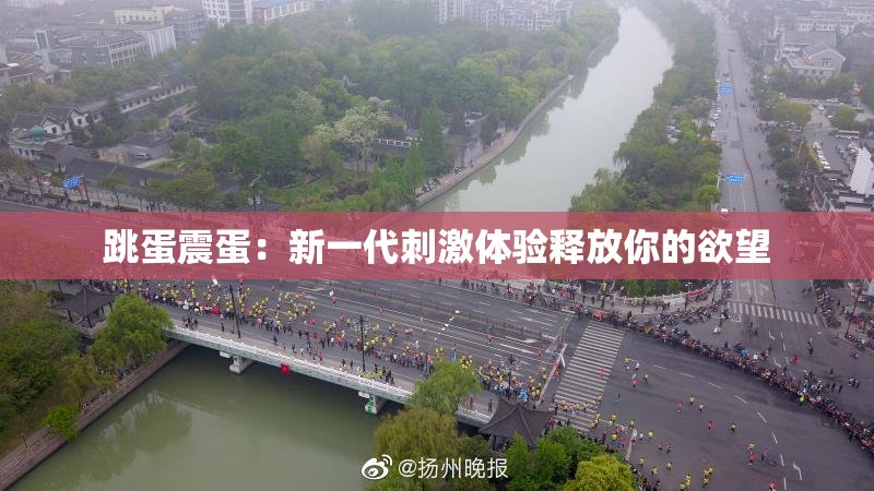跳蛋震蛋：新一代刺激体验释放你的欲望