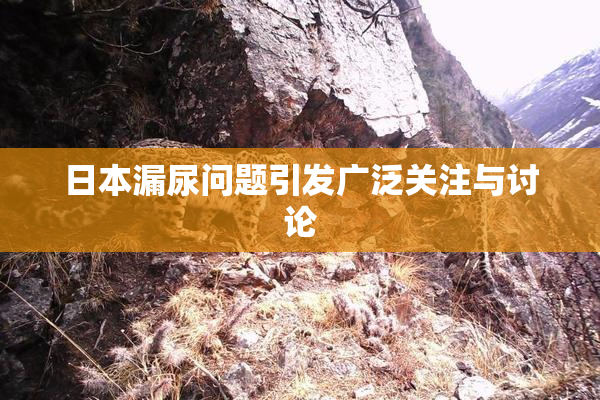 日本漏尿问题引发广泛关注与讨论