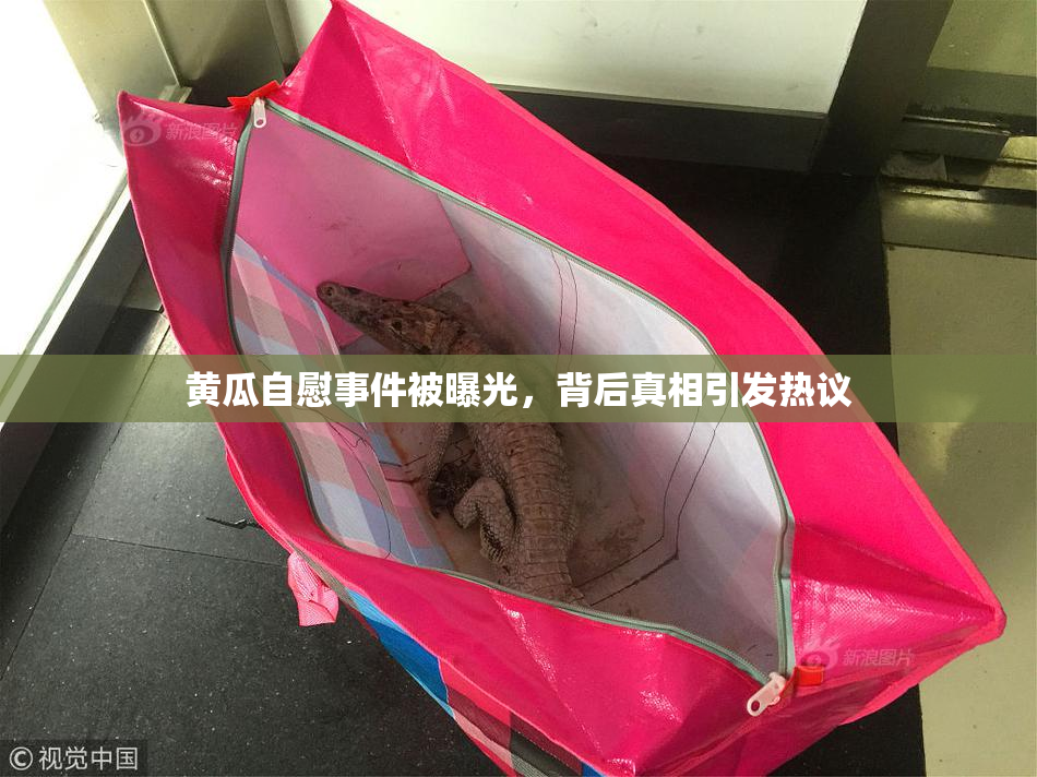黄瓜自慰事件被曝光，背后真相引发热议