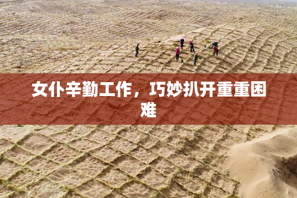 女仆辛勤工作，巧妙扒开重重困难