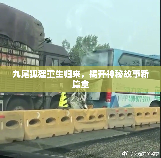 九尾狐狸重生归来，揭开神秘故事新篇章
