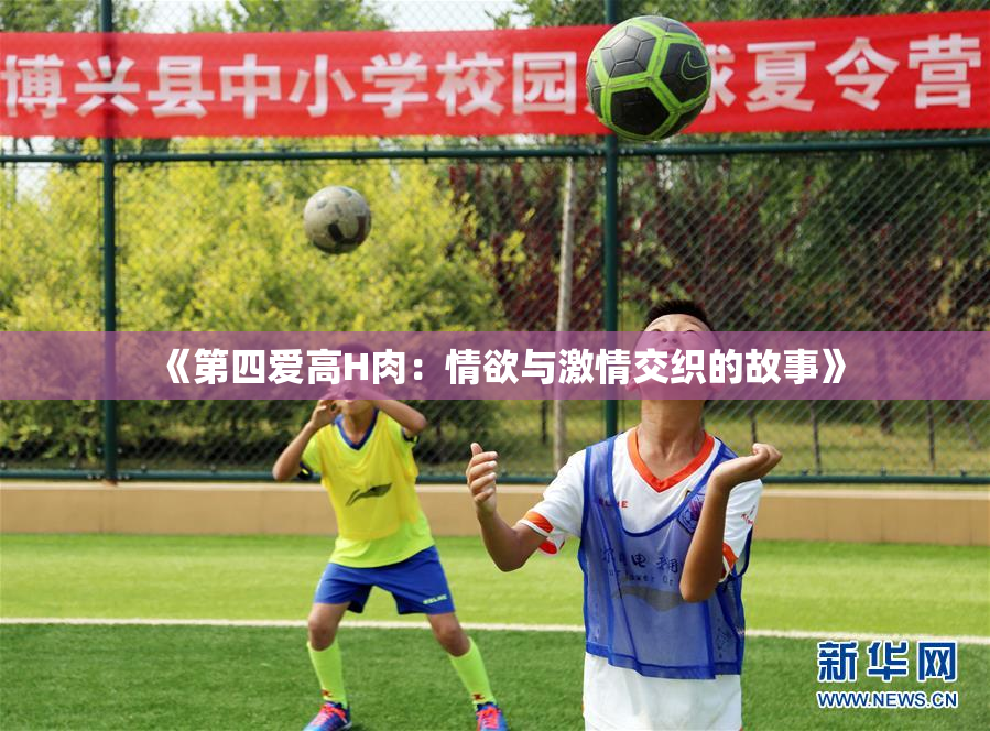 《第四爱高H肉：情欲与激情交织的故事》