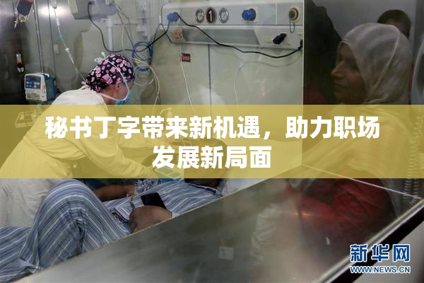 秘书丁字带来新机遇，助力职场发展新局面