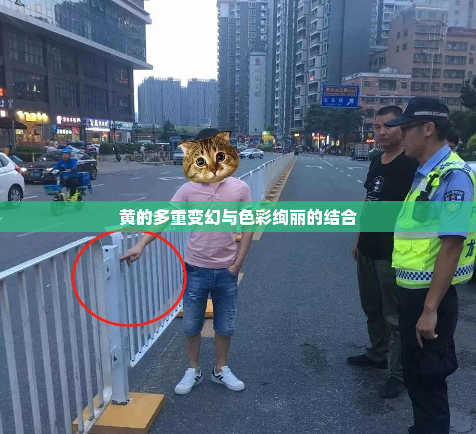 黄的多重变幻与色彩绚丽的结合