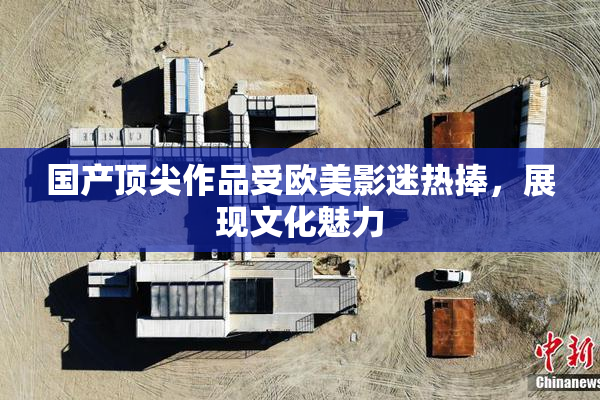 国产顶尖作品受欧美影迷热捧，展现文化魅力