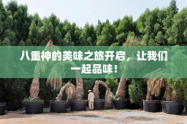 八重神的美味之旅开启，让我们一起品味！
