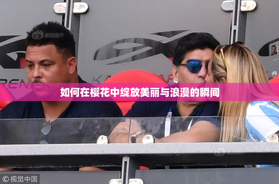 如何在樱花中绽放美丽与浪漫的瞬间