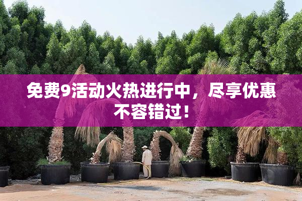 免费9活动火热进行中，尽享优惠不容错过！
