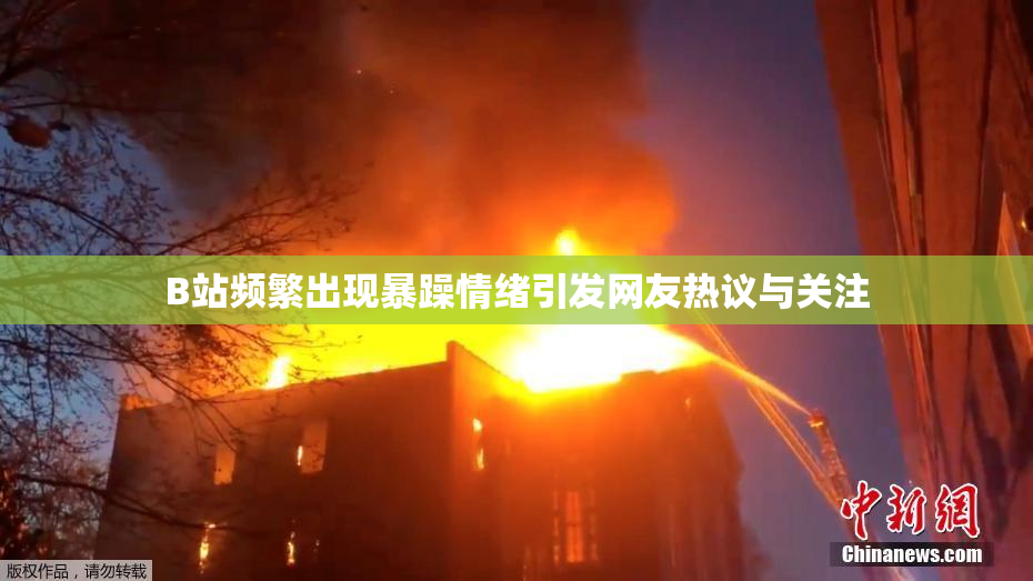 B站频繁出现暴躁情绪引发网友热议与关注