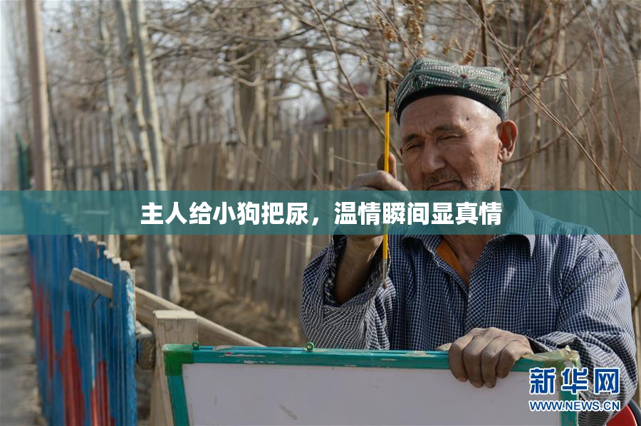主人给小狗把尿，温情瞬间显真情