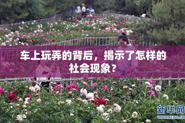 车上玩弄的背后，揭示了怎样的社会现象？