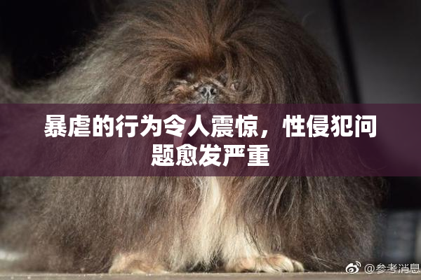 暴虐的行为令人震惊，性侵犯问题愈发严重