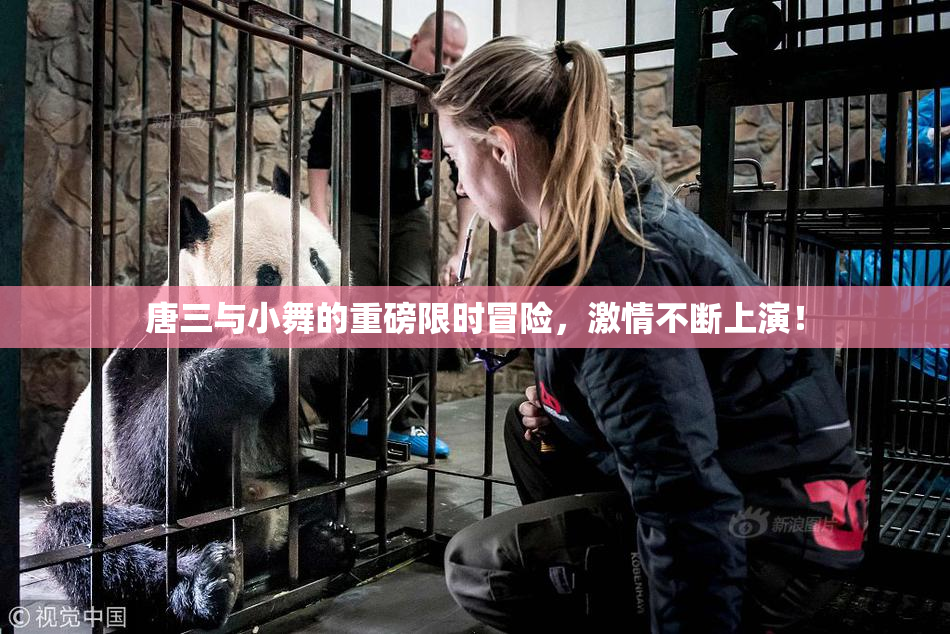 唐三与小舞的重磅限时冒险，激情不断上演！