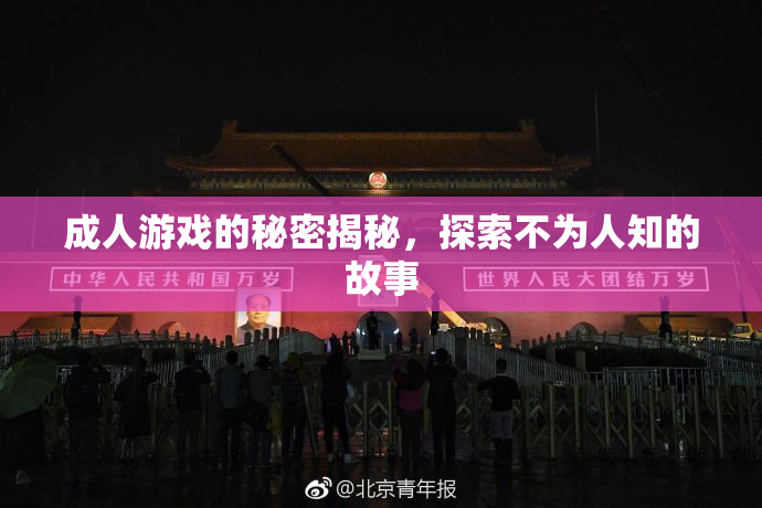 成人游戏的秘密揭秘，探索不为人知的故事