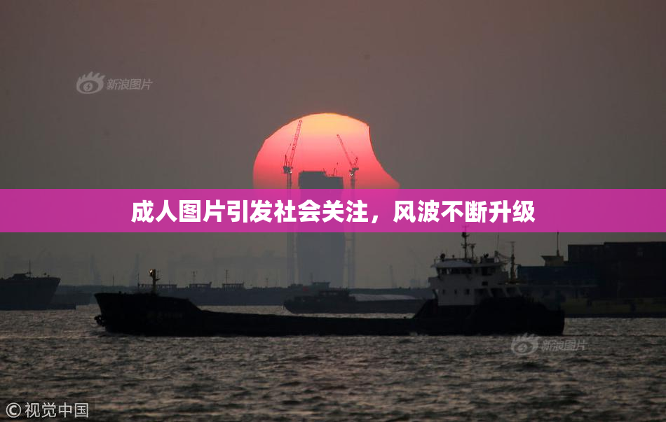 成人图片引发社会关注，风波不断升级