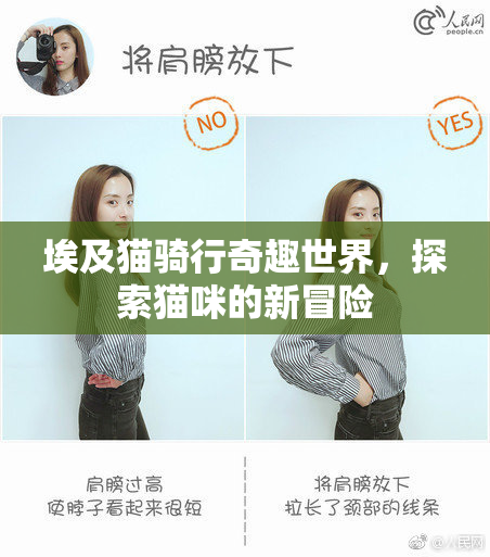埃及猫骑行奇趣世界，探索猫咪的新冒险
