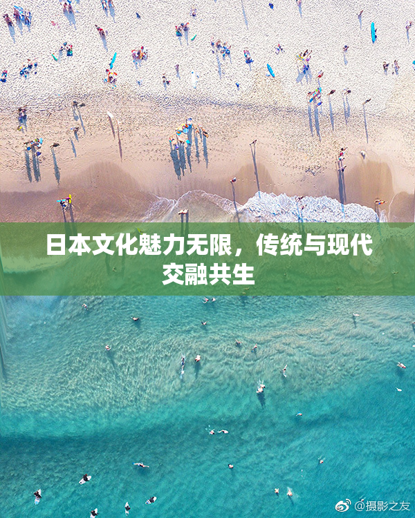 日本文化魅力无限，传统与现代交融共生
