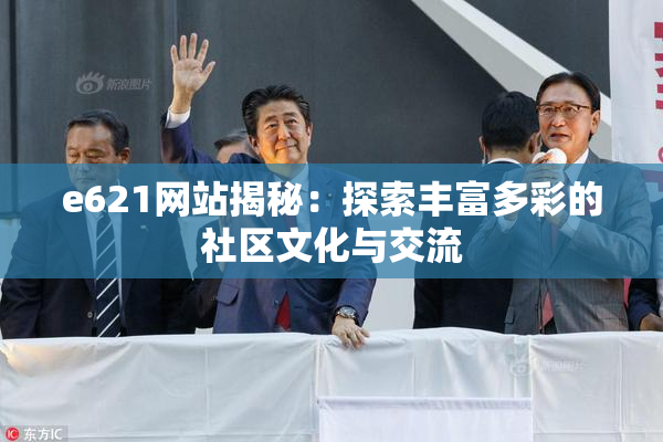 e621网站揭秘：探索丰富多彩的社区文化与交流
