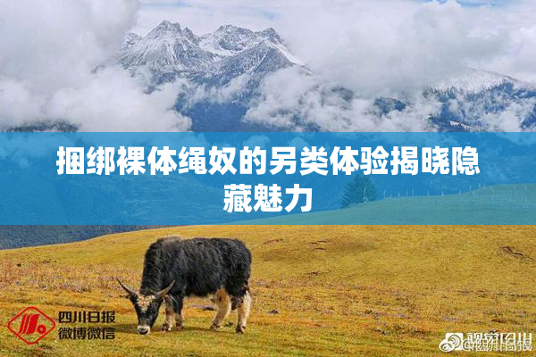 捆绑裸体绳奴的另类体验揭晓隐藏魅力