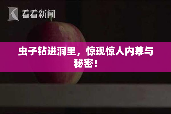 虫子钻进洞里，惊现惊人内幕与秘密！