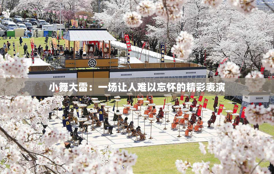 小舞大雷：一场让人难以忘怀的精彩表演
