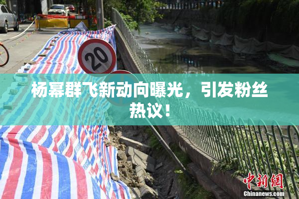 杨幂群飞新动向曝光，引发粉丝热议！