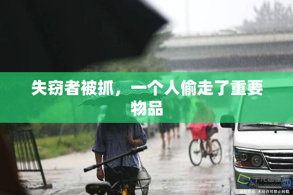 失窃者被抓，一个人偷走了重要物品