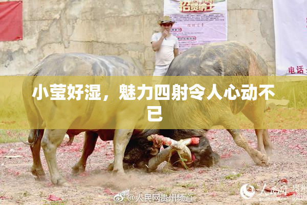 小莹好湿，魅力四射令人心动不已