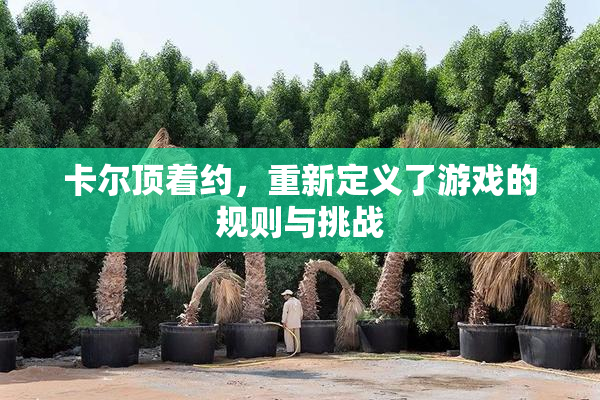 卡尔顶着约，重新定义了游戏的规则与挑战