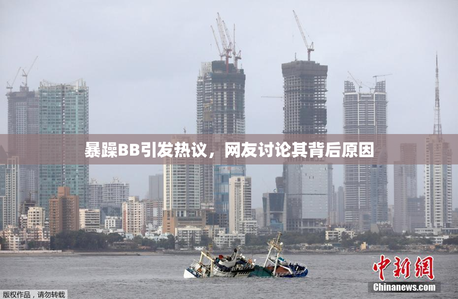 暴躁BB引发热议，网友讨论其背后原因